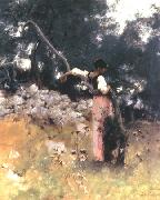 John Singer Sargent Portrait of Rosina Sweden oil painting artist